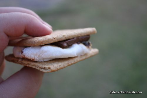 The Perfect S'more