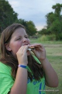 Big S'mores Bite