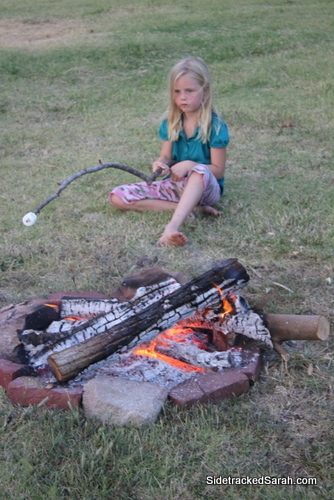Camp Bondfire Sticks