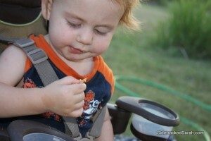 Baby & S'mores