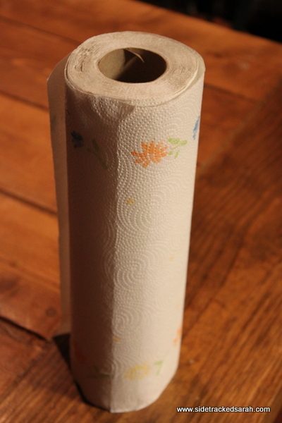 What? No Paper Towels? Sidetracked Sarah What? No Paper Towels? Sidetracked Sarah