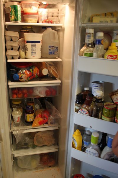 My Refrigerator, Keeping it Clean & Organized! | Sidetracked Sarah