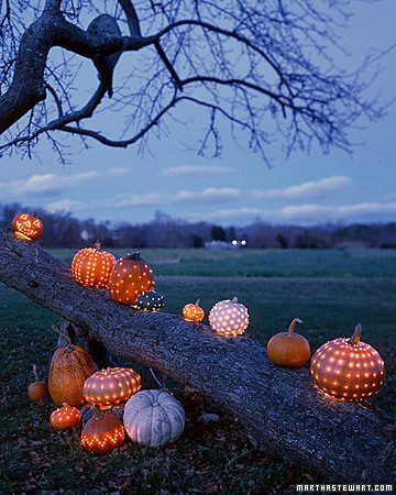 Celestial Pumpkins